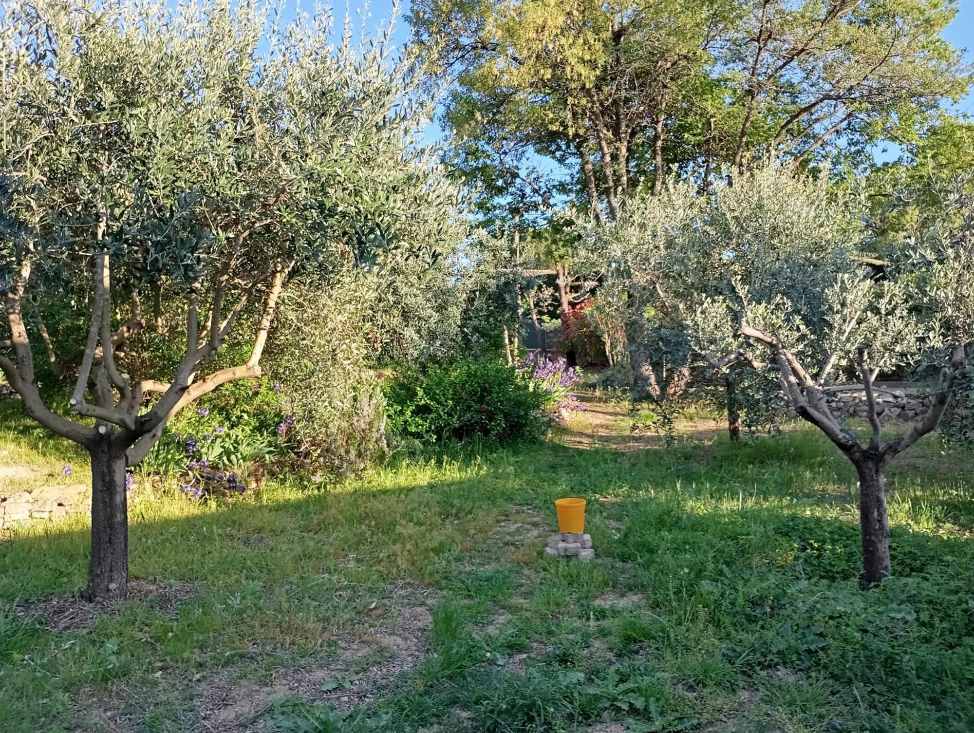 Studio 25M2 Avec Piscine Et Spa, Proche Iter Et Cadarache Apartment Valensole Exterior photo